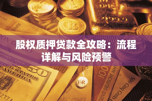 武汉股权质押贷款全攻略：流程详解与风险预警