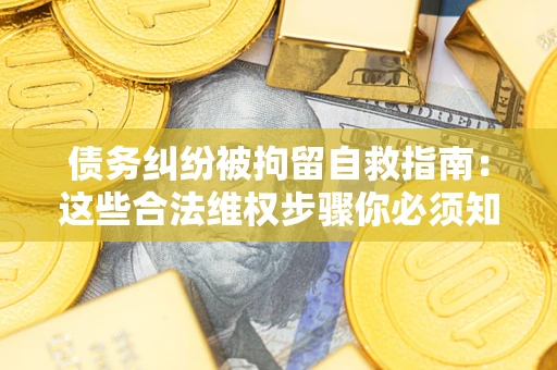 武汉债务纠纷被拘留自救指南：这些合法维权步骤你必须知道！