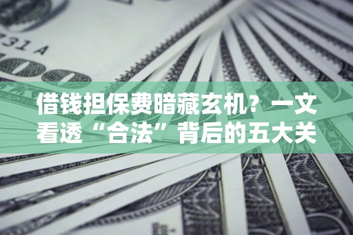 武汉借钱担保费暗藏玄机？一文看透“合法”背后的五大关键陷阱