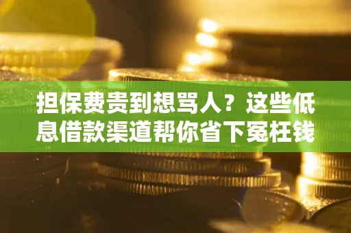 武汉担保费贵到想骂人？这些低息借款渠道帮你省下冤枉钱