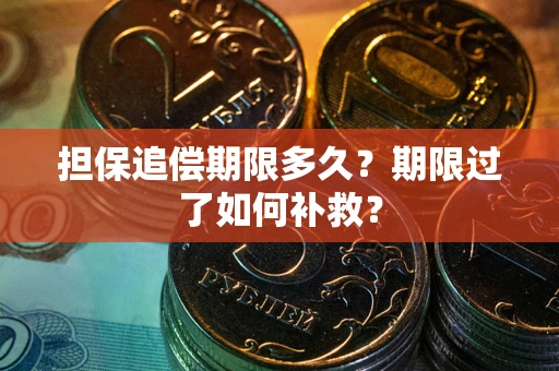 武汉担保追偿期限多久？期限过了如何补救？