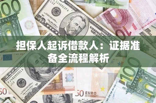 武汉担保人起诉借款人：证据准备全流程解析