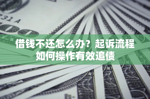 武汉借钱不还怎么办？起诉流程如何操作有效追债