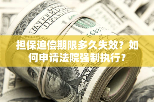 武汉担保追偿期限多久失效？如何申请法院强制执行？