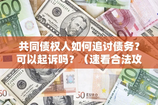 武汉共同债权人如何追讨债务？可以起诉吗？（速看合法攻略）