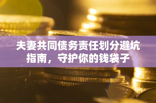 武汉夫妻共同债务责任划分避坑指南，守护你的钱袋子