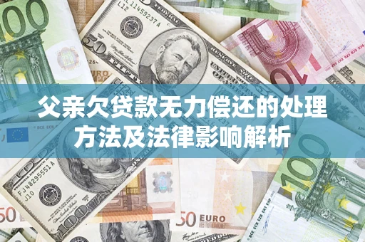 武汉父亲欠贷款无力偿还的处理方法及法律影响解析