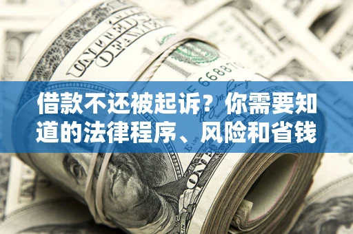 武汉借款不还被起诉？你需要知道的法律程序、风险和省钱技巧