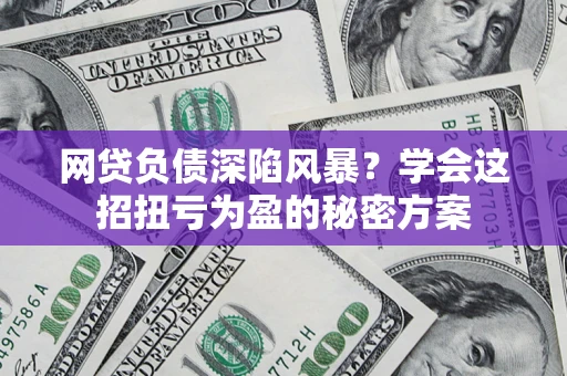 武汉网贷负债深陷风暴？学会这招扭亏为盈的秘密方案